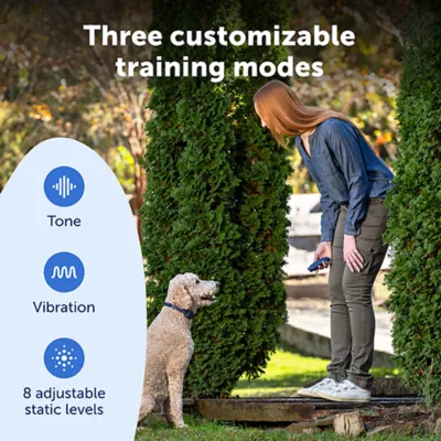 Product PetSafe Basic Dog Trainer with Remote - Waterproof Training Collar - 300 ft Range