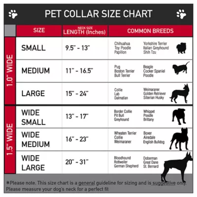 Product Buckle-Down Peanuts Seatbelt Dog Collar