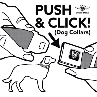 Product Buckle-Down Peanuts Seatbelt Dog Collar