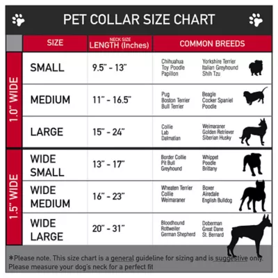 Buckle-Down Peanuts Seatbelt Dog Collar - Image 3