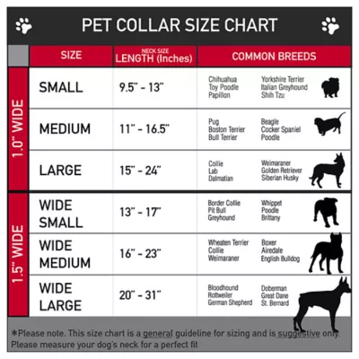 Product Buckle-Down Peanuts Seatbelt Dog Collar