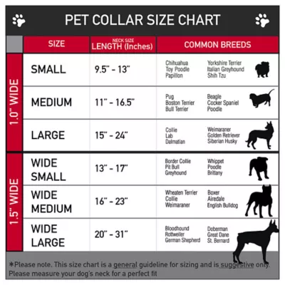 Product Buckle-Down Peanuts Seatbelt Dog Collar