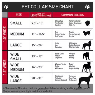 Buckle-Down Peanuts Snoopy Seatbelt Dog Collar - Image 3