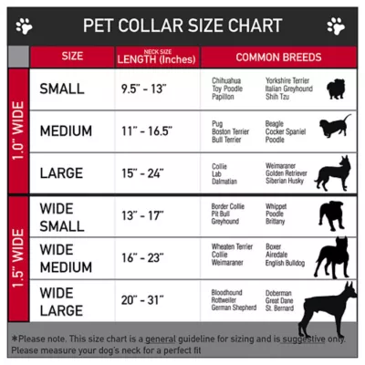 Product Buckle-Down Peanuts Seatbelt Dog Collar