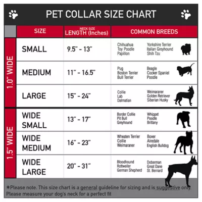 Buckle-Down Peanuts Seatbelt Dog Collar - Image 3
