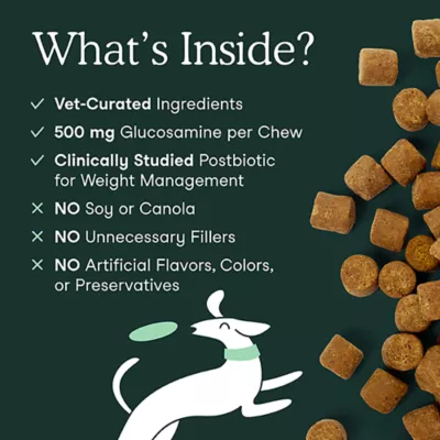 Product Fera Pets Hip + Joint Support Soft Chews for Dogs, 90 Count