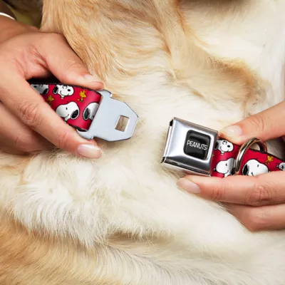 Product Buckle-Down Peanuts Snoopy Seatbelt Dog Collar