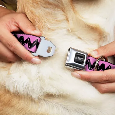 Product Buckle-Down Peanuts Seatbelt Dog Collar