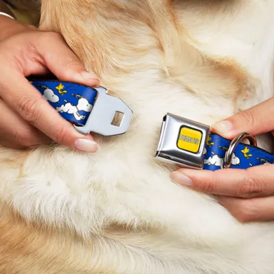 Product Buckle-Down Peanuts Snoopy Seatbelt Dog Collar