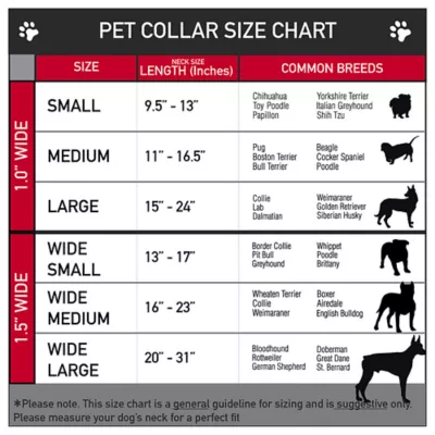 Product Buckle-Down Peanuts Snoopy Seatbelt Dog Collar