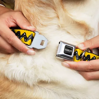 Product Buckle-Down Peanuts Seatbelt Dog Collar