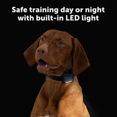 Product PetSafe Core Dog Trainer with Remote - Waterproof Training Collar - 1000 Foot Range