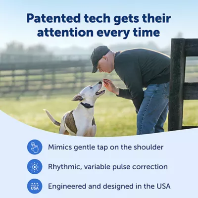 Product PetSafe Core Dog Trainer with Remote - Waterproof Training Collar - 1000 Foot Range