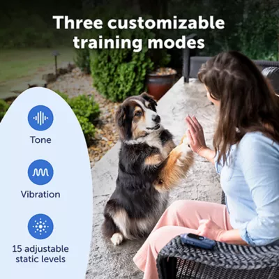 Product PetSafe Core Dog Trainer with Remote - Waterproof Training Collar - 1000 Foot Range