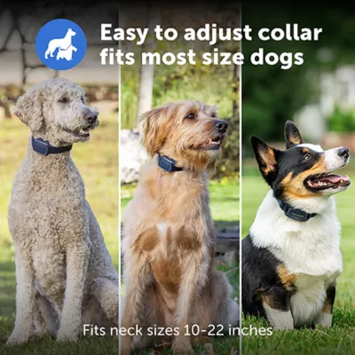 Product PetSafe Core Dog Trainer with Remote - Waterproof Training Collar - 1000 Foot Range