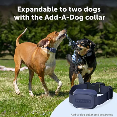 Product PetSafe Core Dog Trainer with Remote - Waterproof Training Collar - 1000 Foot Range