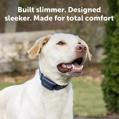 Product PetSafe Pro Dog Trainer with Remote, Waterproof Training Collar, 1000 ft Range, Add-A-Dog Compatible