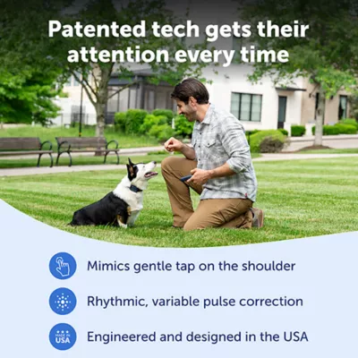 Product PetSafe Pro Dog Trainer with Remote, Waterproof Training Collar, 1000 ft Range, Add-A-Dog Compatible
