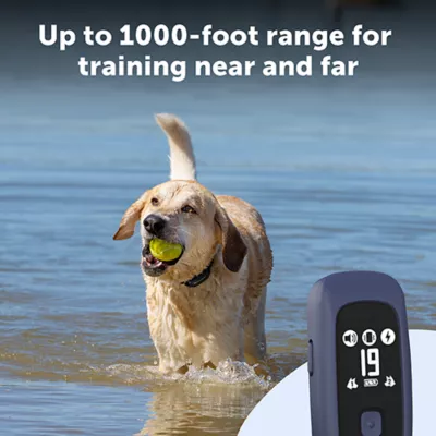 Product PetSafe Pro Dog Trainer with Remote, Waterproof Training Collar, 1000 ft Range, Add-A-Dog Compatible