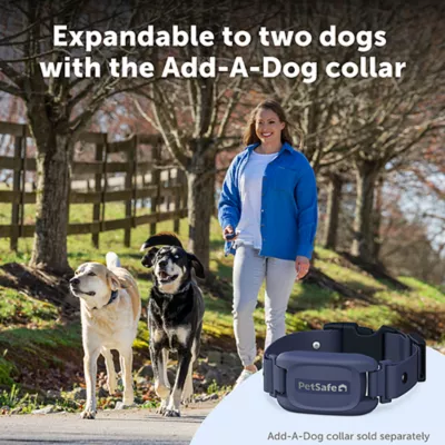 Product PetSafe Pro Dog Trainer with Remote, Waterproof Training Collar, 1000 ft Range, Add-A-Dog Compatible