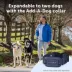 PetSafe Pro Dog Trainer with Remote, Waterproof Training Collar, 1000 ft Range, Add-A-Dog Compatible image thumbnail 8