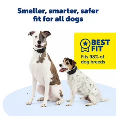 Product PetSafe Guardian GPS 2.0 Dog Fence + Tracking - Wireless Dog Fence with Reliable Dual Frequency GPS