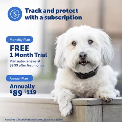 Product PetSafe Guardian GPS 2.0 Dog Fence + Tracking - Wireless Dog Fence with Reliable Dual Frequency GPS
