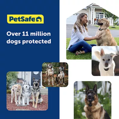 Product PetSafe Guardian GPS 2.0 Dog Fence + Tracking - Wireless Dog Fence with Reliable Dual Frequency GPS