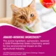 Product Cheristin, Cat Flea and Tick Treatment and Prevention