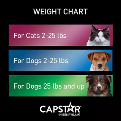 Product Capstar™ Flea Tabs for Cats 2-25lb, 12 Count