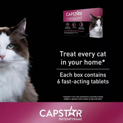 Product Capstar™ Flea Tabs for Cats 2-25lb, 12 Count