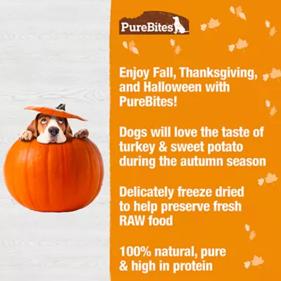 Product PureBites Fall Freeze Dried Dog Treats - Turkey & Sweet Potato, 71g/2.5oz