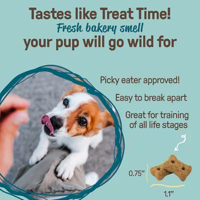 Product COOKIE PAL Spooky Bones Dog Treats - Peanut Butter & Blueberry, 300g