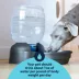 Replendish 4 Gal Waterer image thumbnail 6