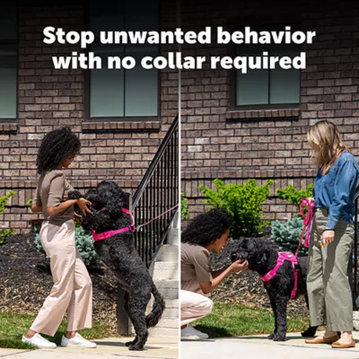 Product PetSafe Collarless Trainer - Ultrasonic Training Tool - Handheld Anti-Bark Device