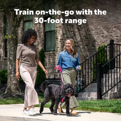 Product PetSafe Collarless Trainer - Ultrasonic Training Tool - Handheld Anti-Bark Device