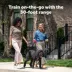 PetSafe Collarless Trainer - Ultrasonic Training Tool - Handheld Anti-Bark Device image thumbnail 8