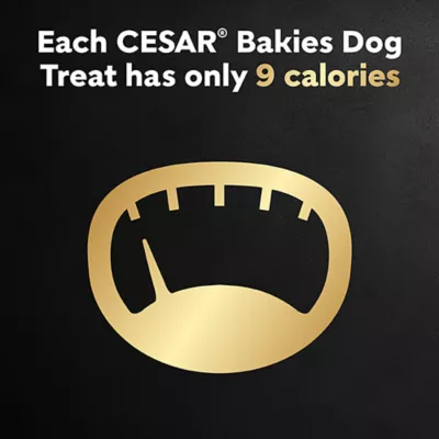 Product Cesar Bakies Dog Treats For Small Breed Adult Dogs - New York Striploin Flavour