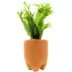 Terracotta Microsorum Plant image thumbnail 1