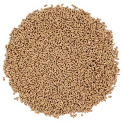 Product Vita Prima Hedgehog Food 1.5 LB