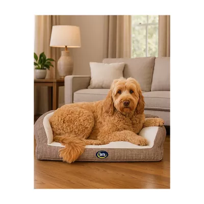 Product Serta® Quilted Orthopedic Couch