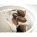 Dubia Roach Large 25 Ct. image thumbnail 3