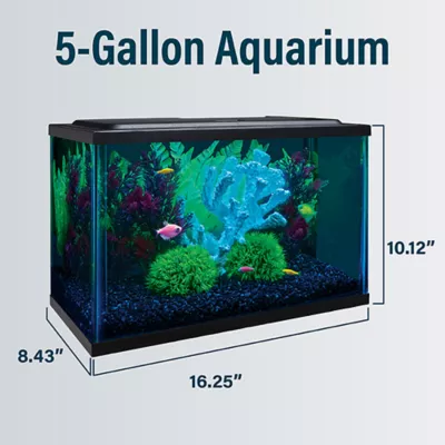Product GloFish® LED Aquarium Kit