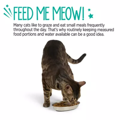 Whisker City® Stainless Steel Oval Cat Saucer - Image 5