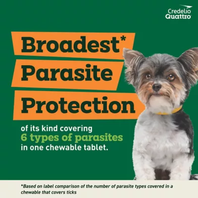 Product Credelio Quattro Chewable Tablets for Dogs - 3.3-6 lbs, Yellow Box