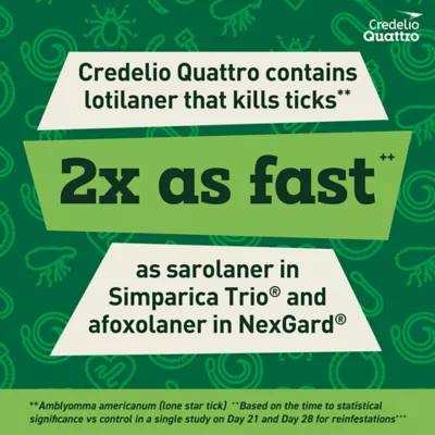 Product Credelio Quattro Chewable Tablets for Dogs - 3.3-6 lbs, Yellow Box