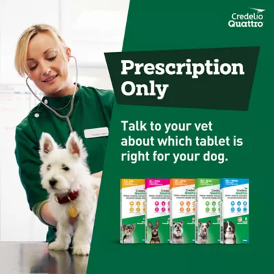 Credelio Quattro Chewable Tablets for Dogs 3.3-6 lbs, 6-in-1 Parasite Protection, 1 & 6 Month Supply - Image 10
