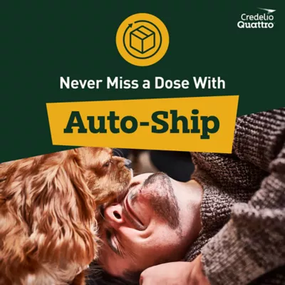 Credelio Quattro Chewable Tablets for Dogs 3.3-6 lbs, 6-in-1 Parasite Protection, 1 & 6 Month Supply - Image 9