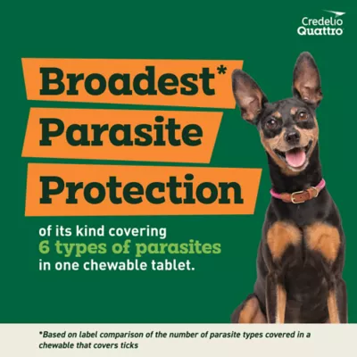 Credelio Quattro Chewable Tablets Dogs 6.1-12 lbs, 6-in-1 Parasite Protection, 1 & 6 Month Supply - Image 3