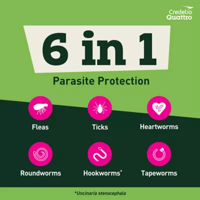 Credelio Quattro Chewable Tablets Dogs 6.1-12 lbs, 6-in-1 Parasite Protection, 1 & 6 Month Supply - Image 4